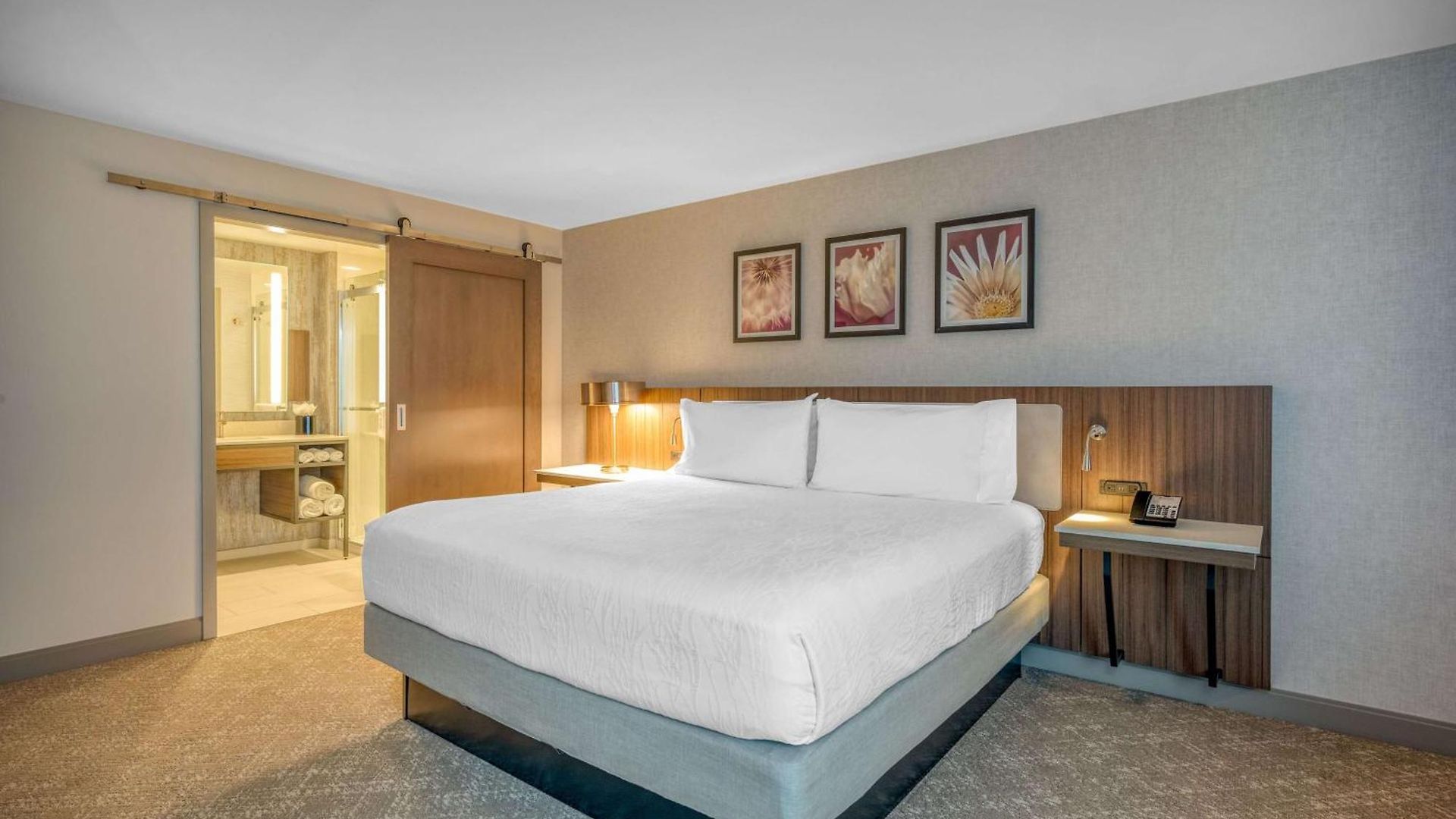 Hilton Garden Logan Airport 3*