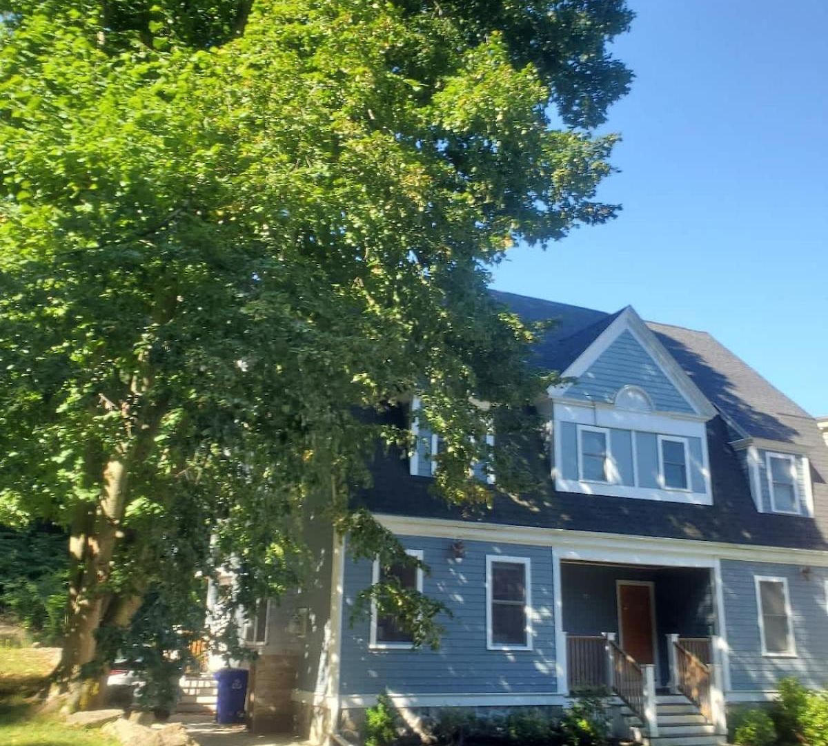 Park-side In Jamaica Plain *