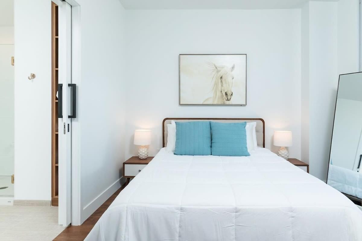 Back-bay Penthouse Downtown & Parking & Gym Apartment Boston