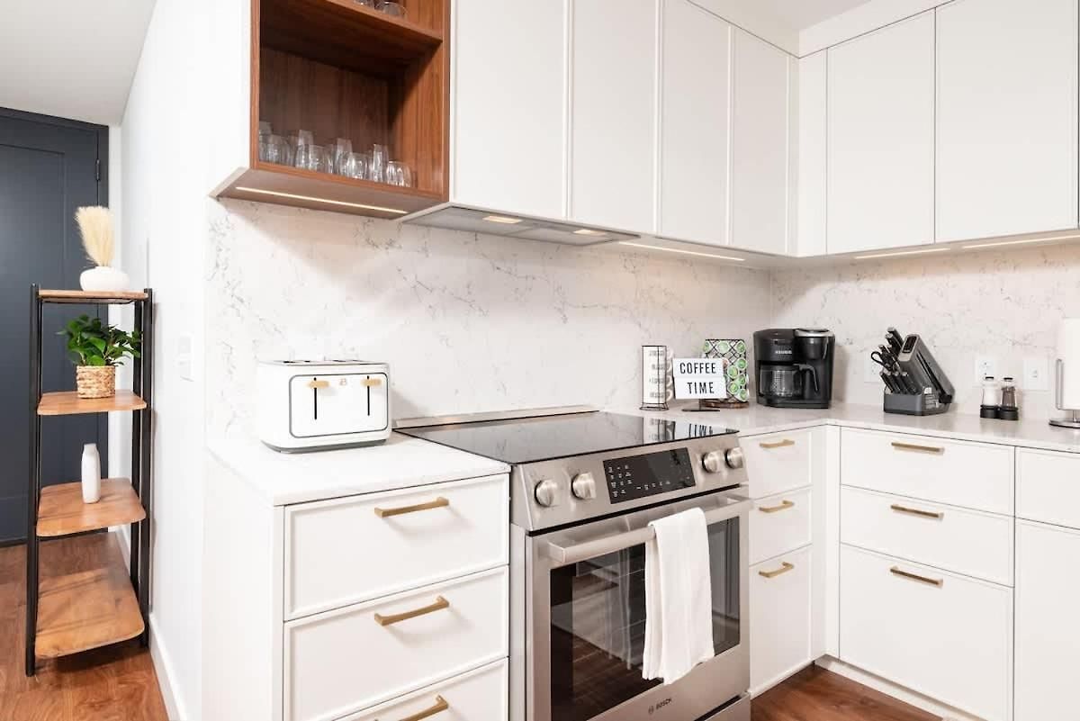 Back-bay Upscale Penthouse W Roof-top Apartment