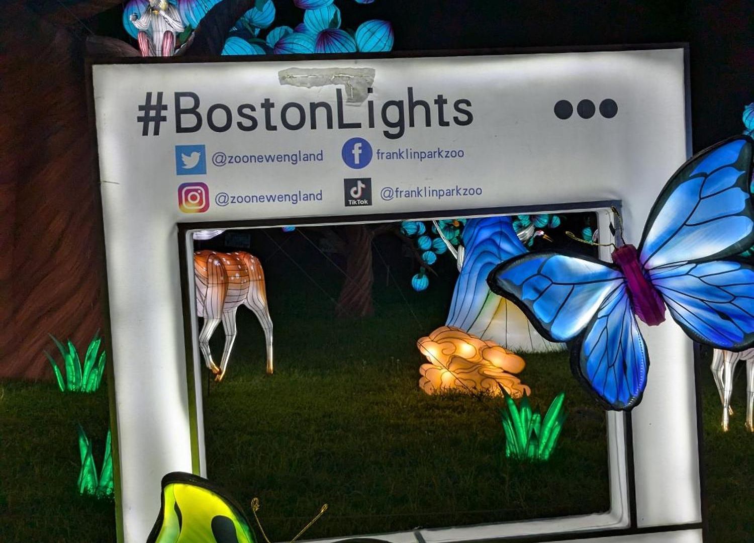 Homestel Hostel *