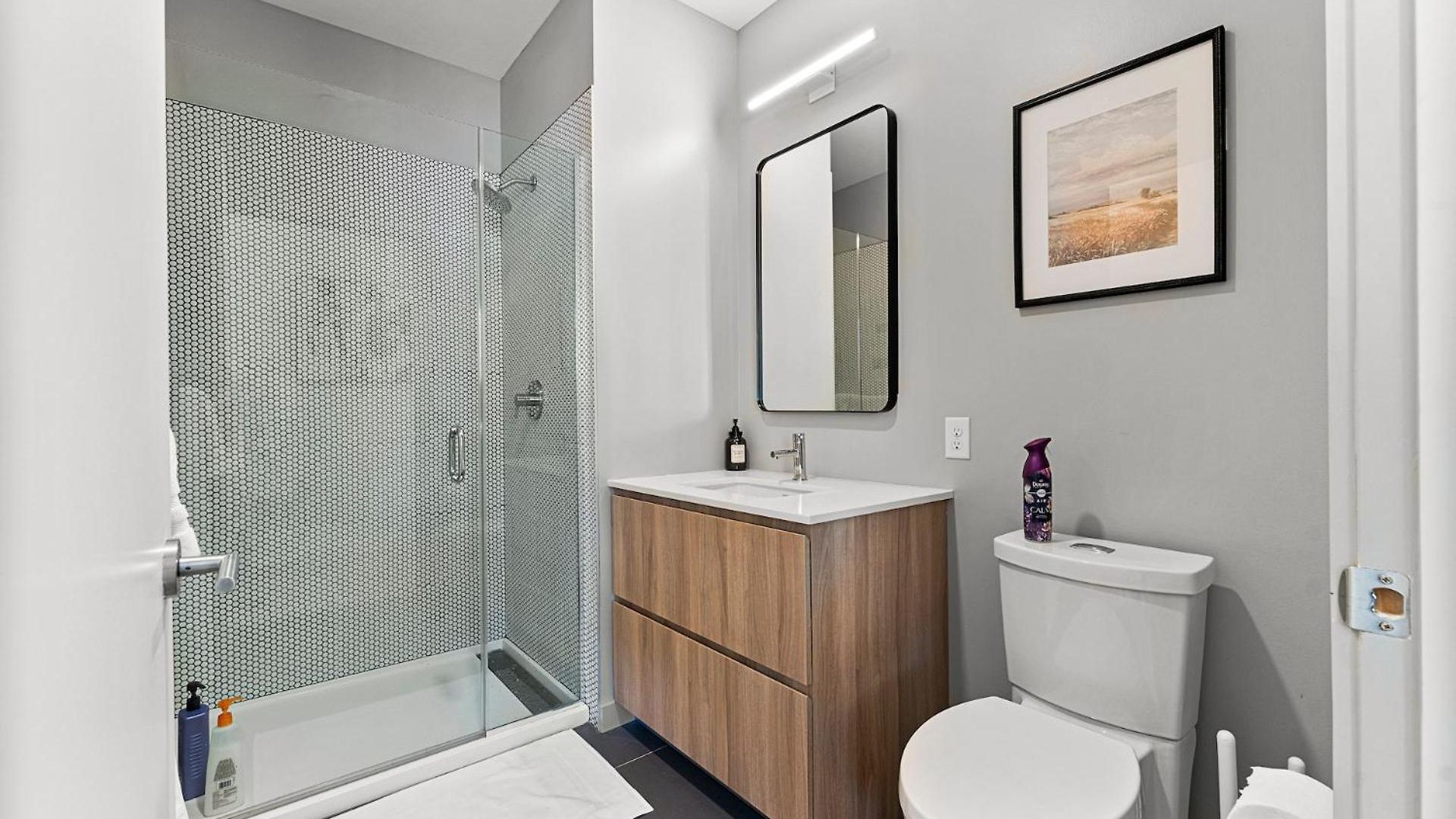 Furnished In South Apartment Boston