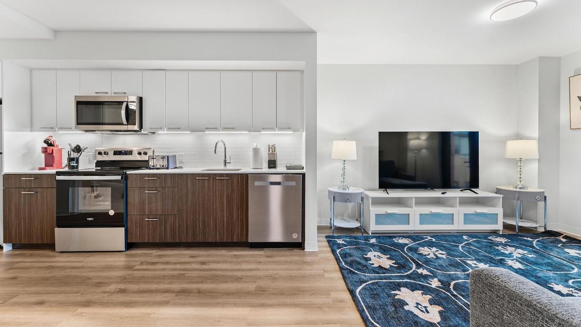 Furnished Luxury Next To Harvard Stadium Boston