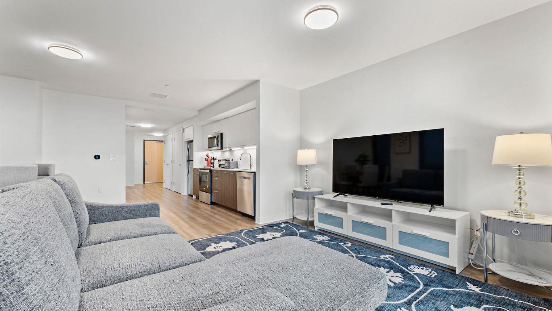 Furnished Luxury Next To Harvard Stadium * Boston