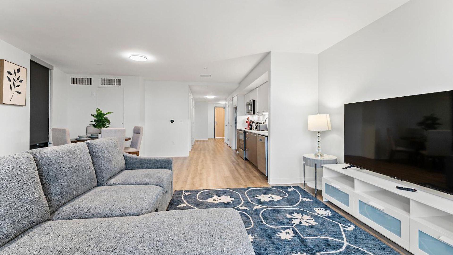 Furnished Luxury Next To Harvard Stadium Apartment Boston