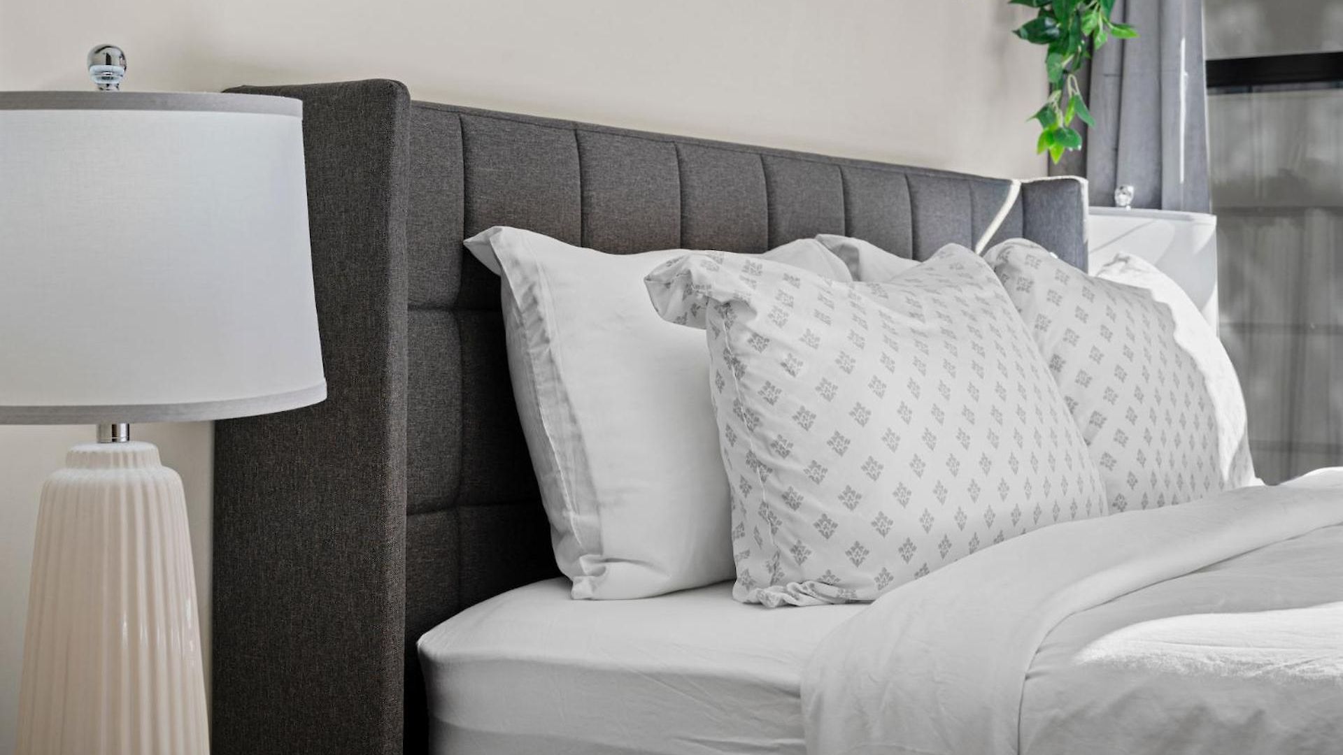 Furnished In Downtown Apartment *