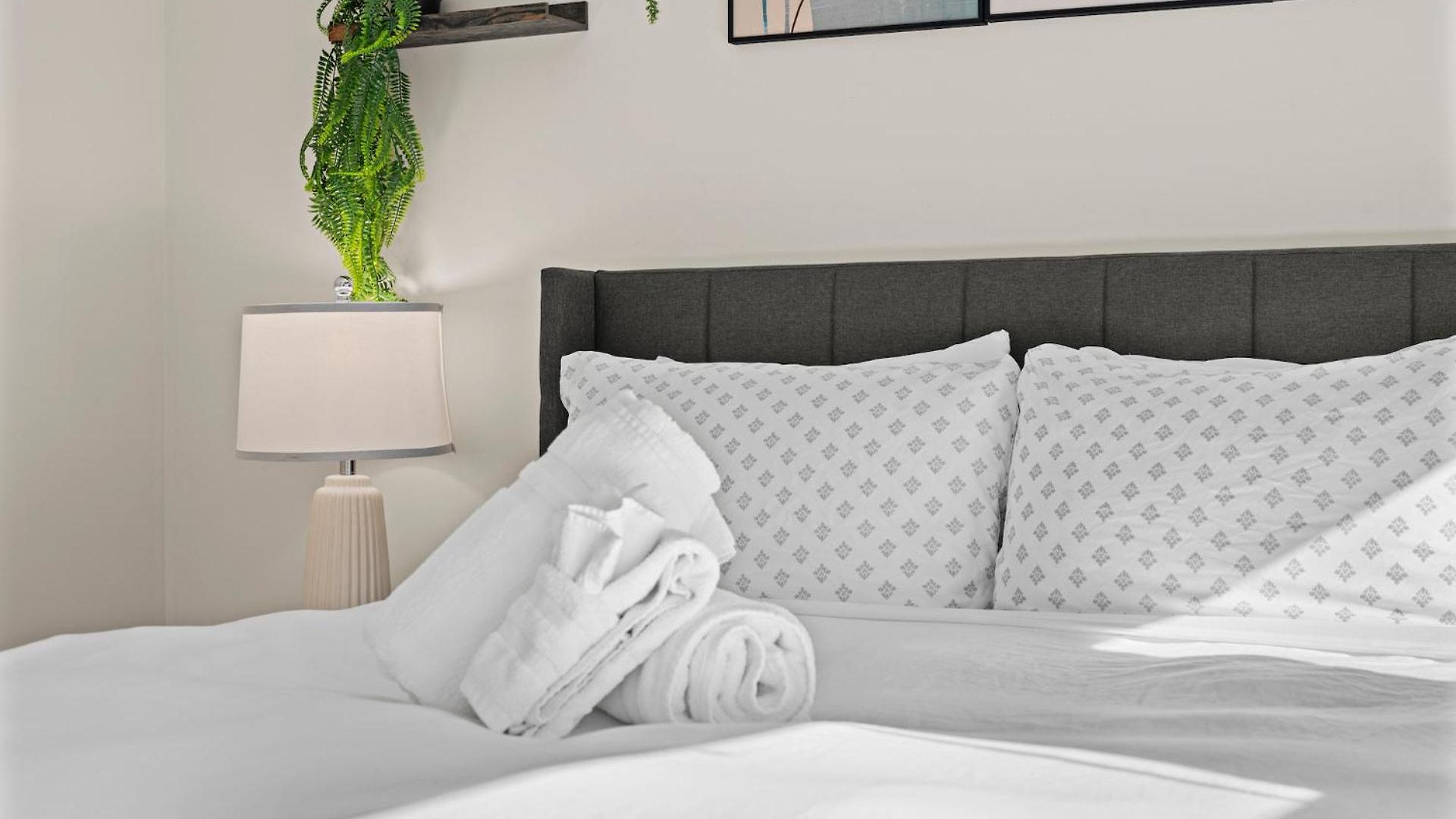 Apartment Furnished In Downtown *
