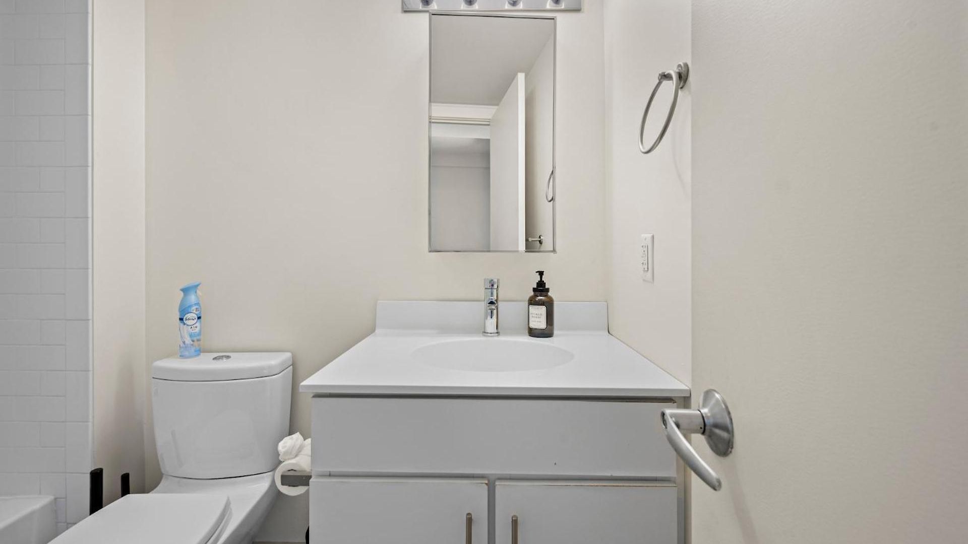 Furnished In Downtown