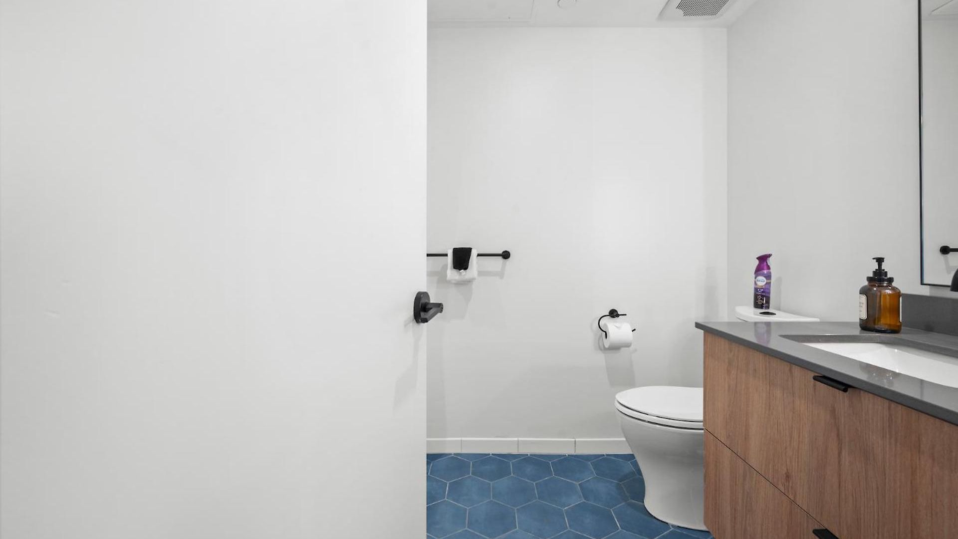 Luxury Furnished Near Logan Airport