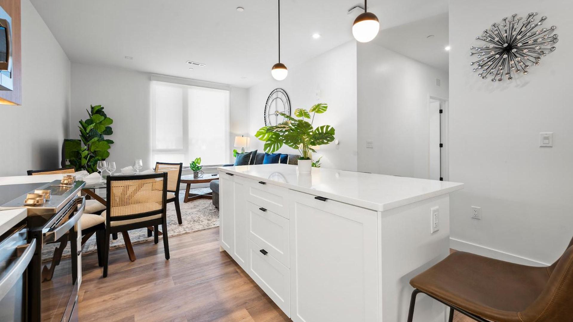 Luxury Furnished Near Logan Airport