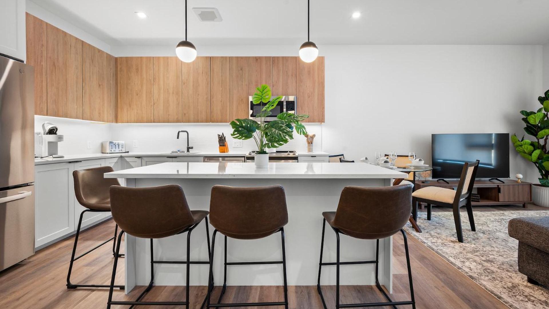 Apartment Luxury Furnished Near Logan Airport