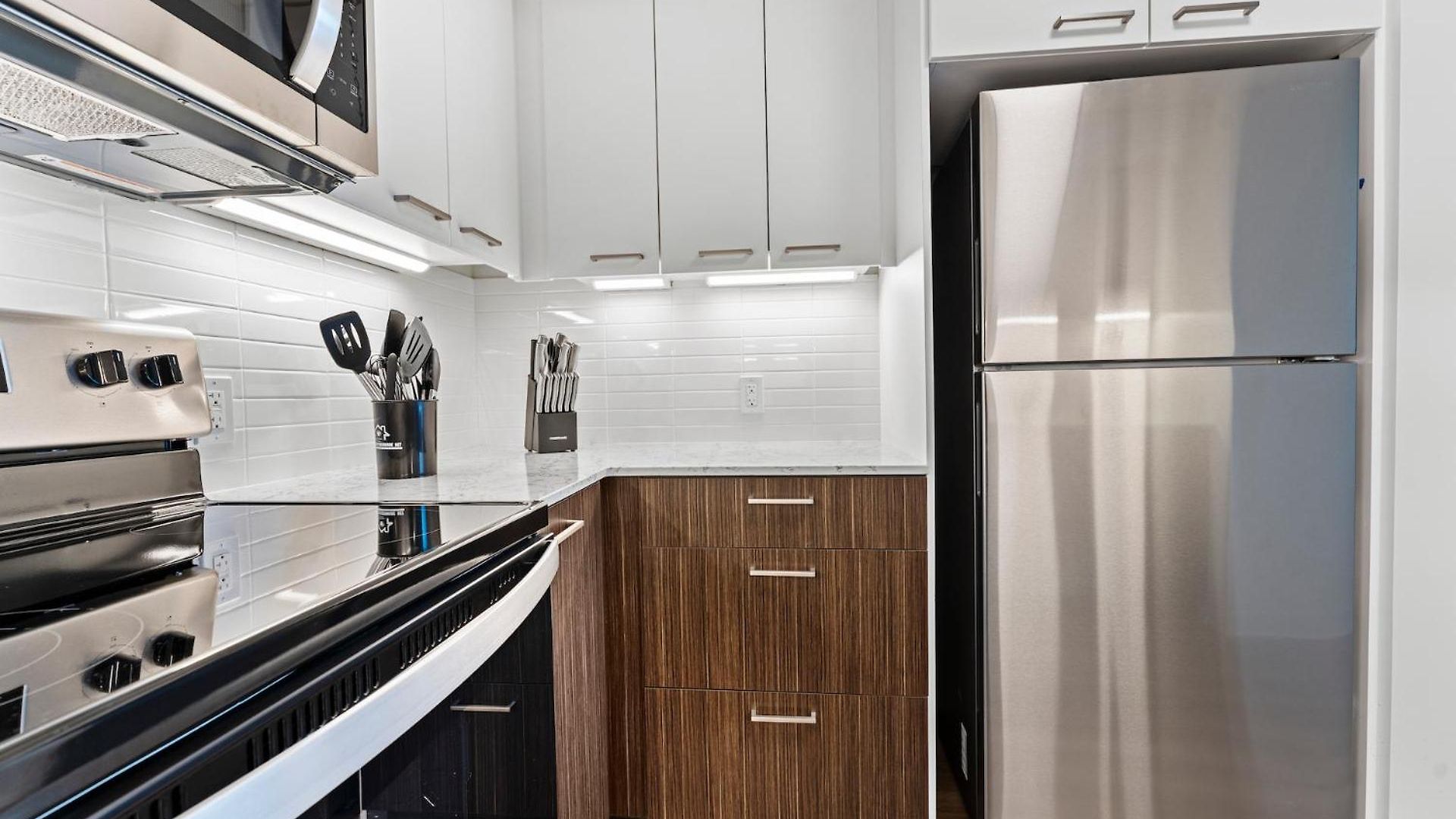 Furnished Luxury Next To Harvard Stadium Apartment Boston