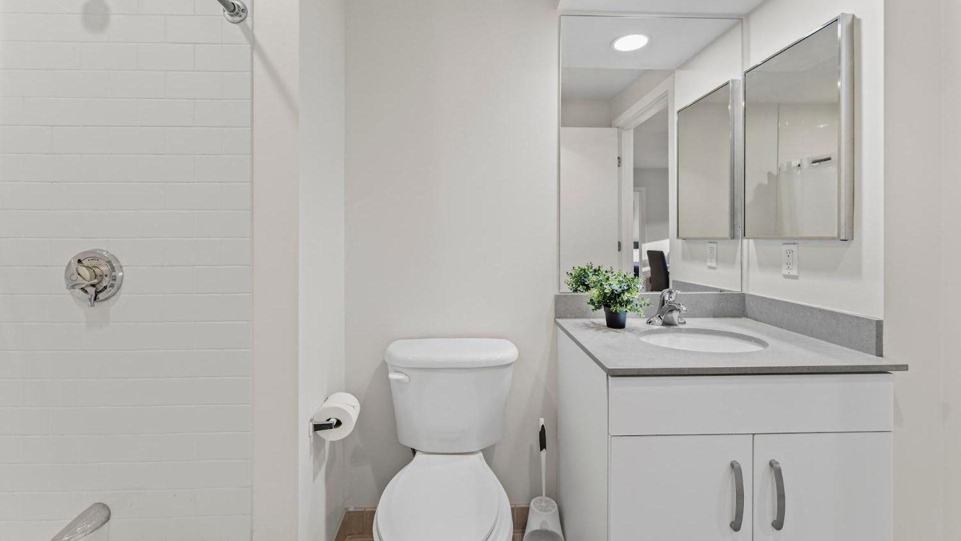 Apartment Beautiful 2br In Southend Boston
