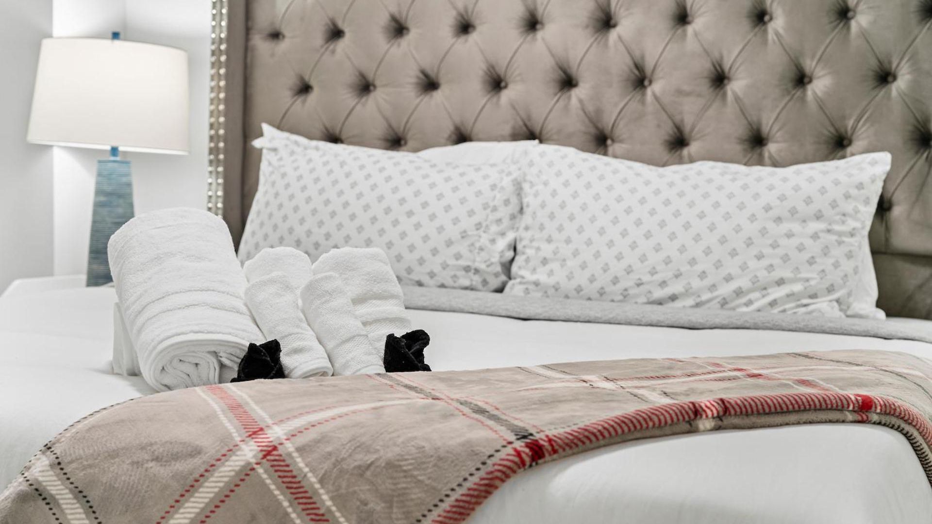 Furnished Luxury Next To Harvard Stadium *