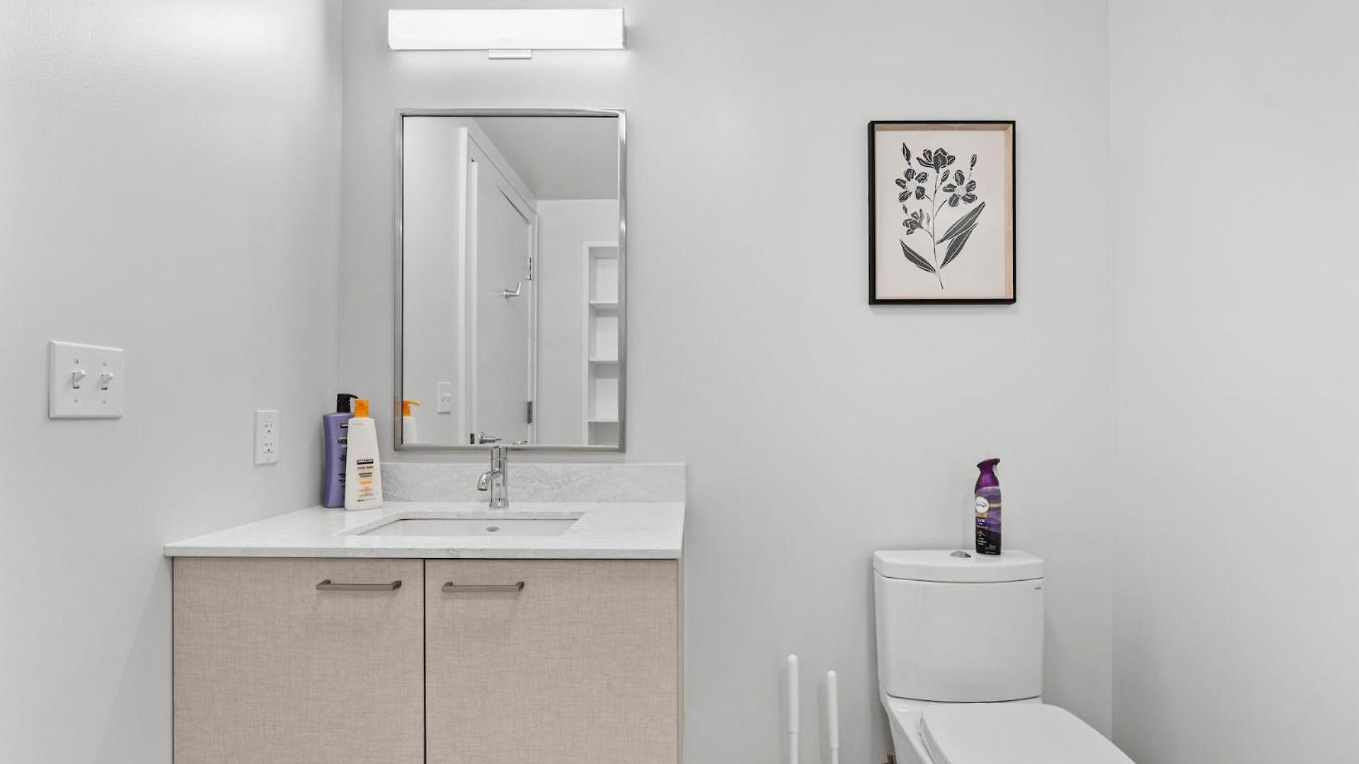 Furnished Luxury Next To Harvard Stadium Boston