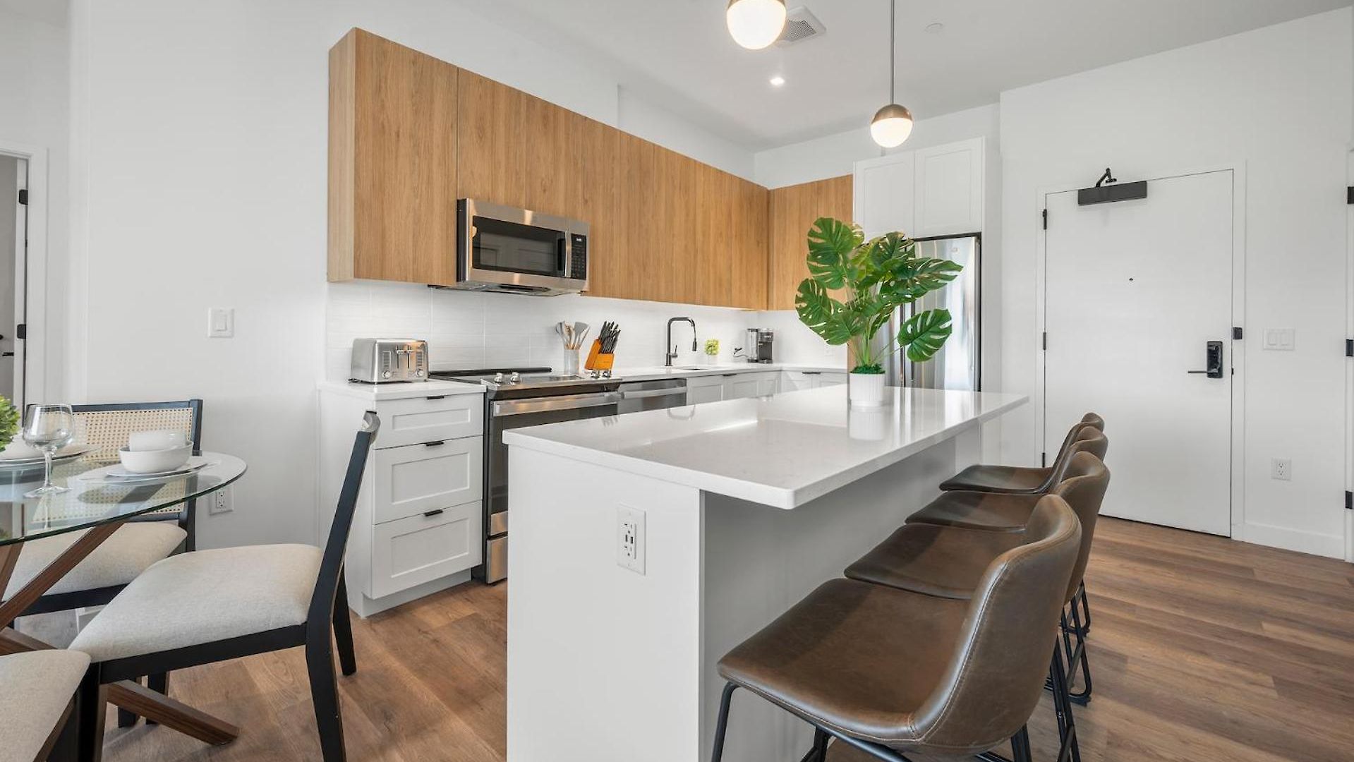 Luxury Furnished Near Logan Airport