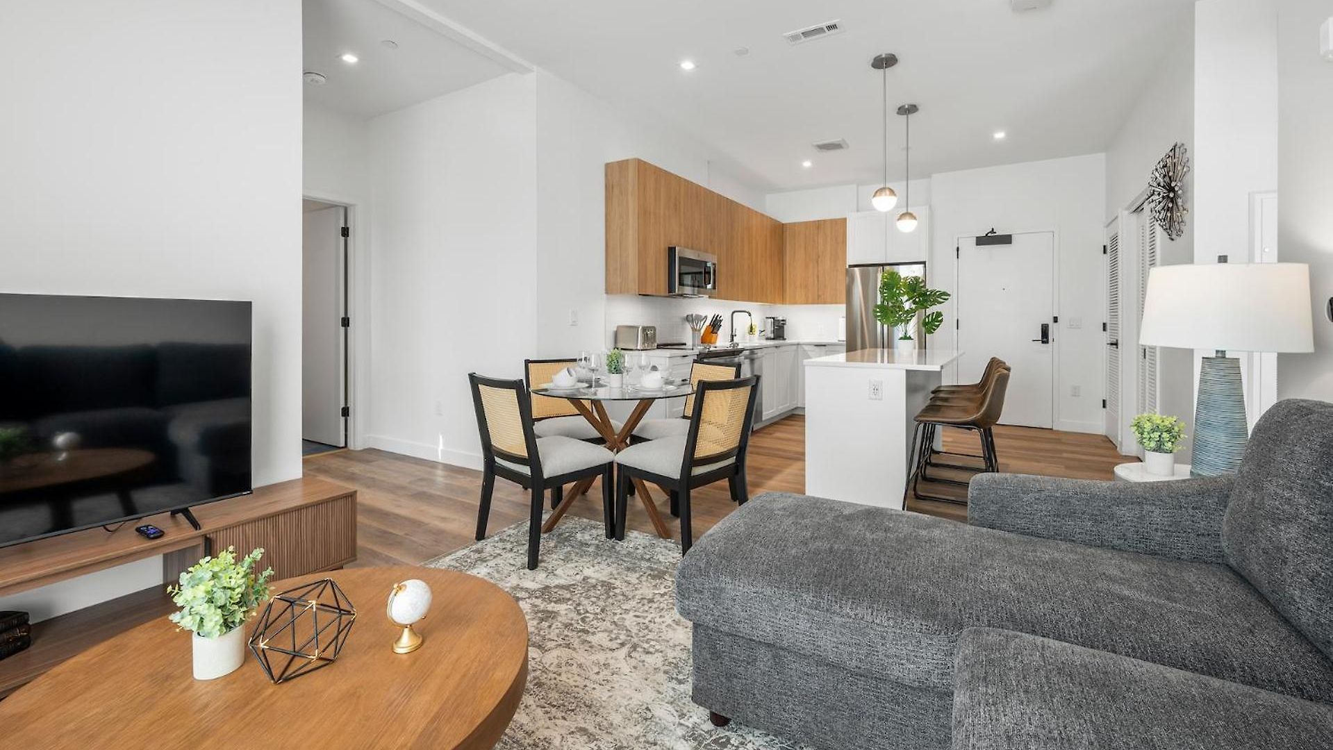 Apartment Luxury Furnished Near Logan Airport Boston