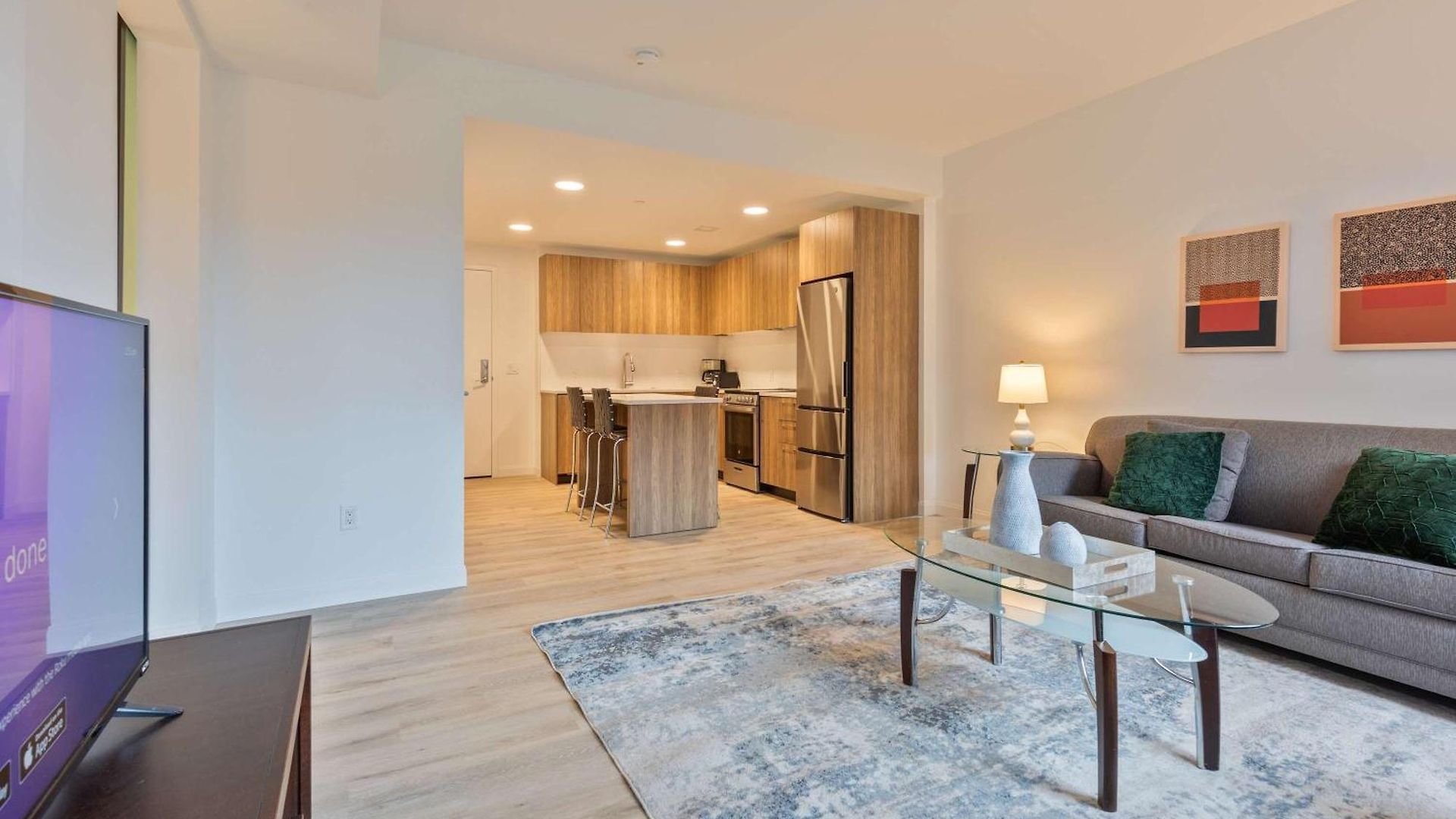 Luxury With Kitchen & Gym Apartment Boston