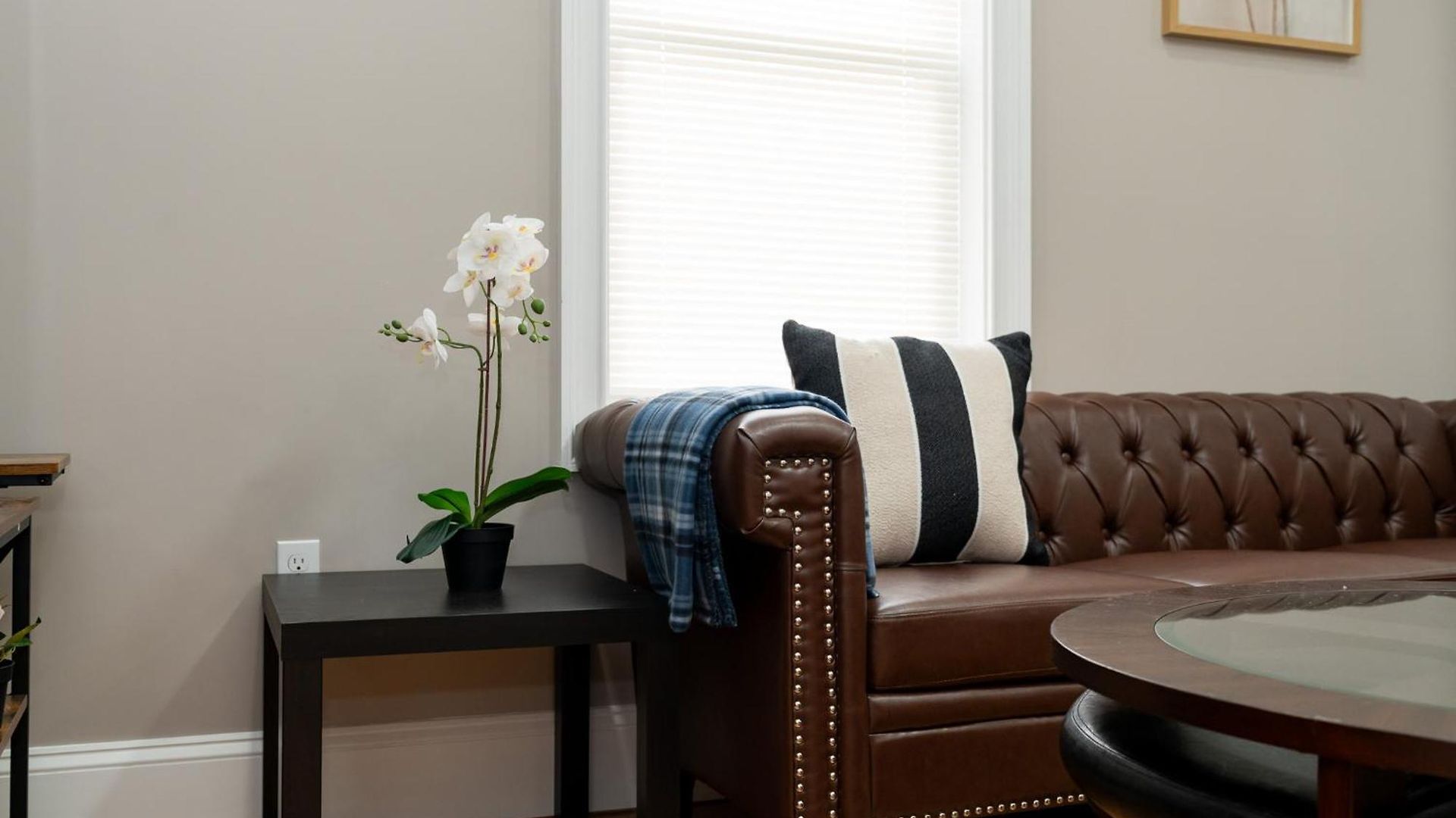 Pet-friendly Modern 3br 1st-floor - Easy Franklin Park & Red Line Access 5581 Apartment Boston