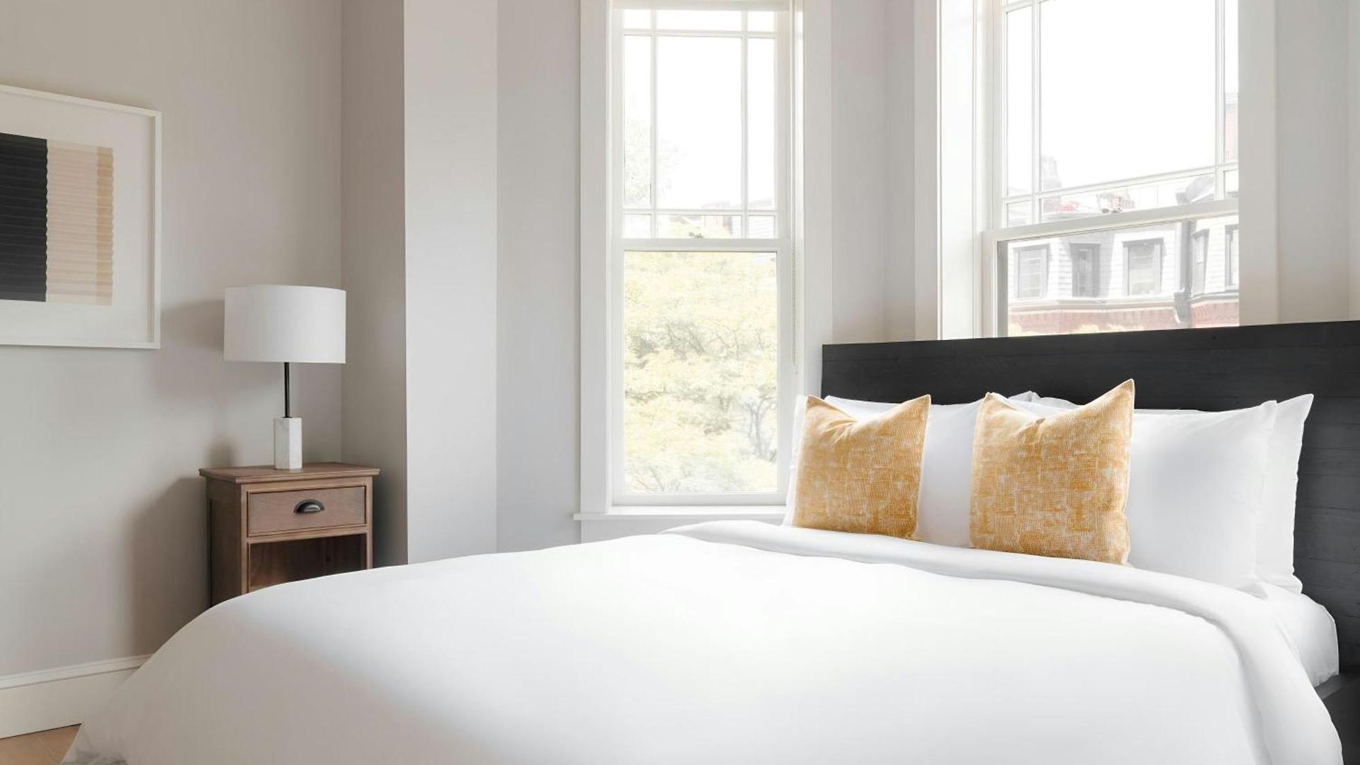 Sonder By Marriott Bonvoy The Magnolia Back Bay Boston