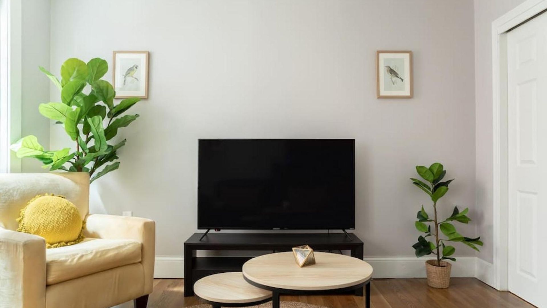 Apartment Cozy 1br Walk Anywhere Boston