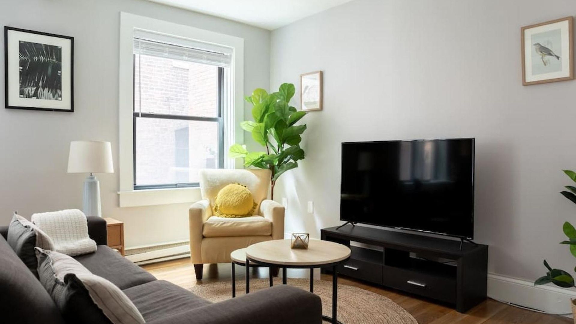 Cozy 1br Walk Anywhere * Boston