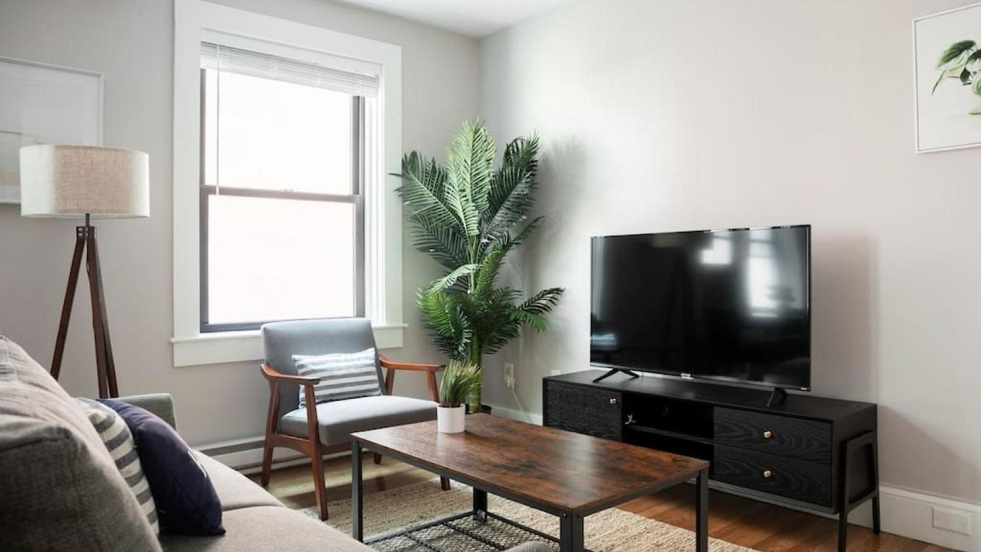 Apartment Airy 1br Walkable To Everywhere In Boston