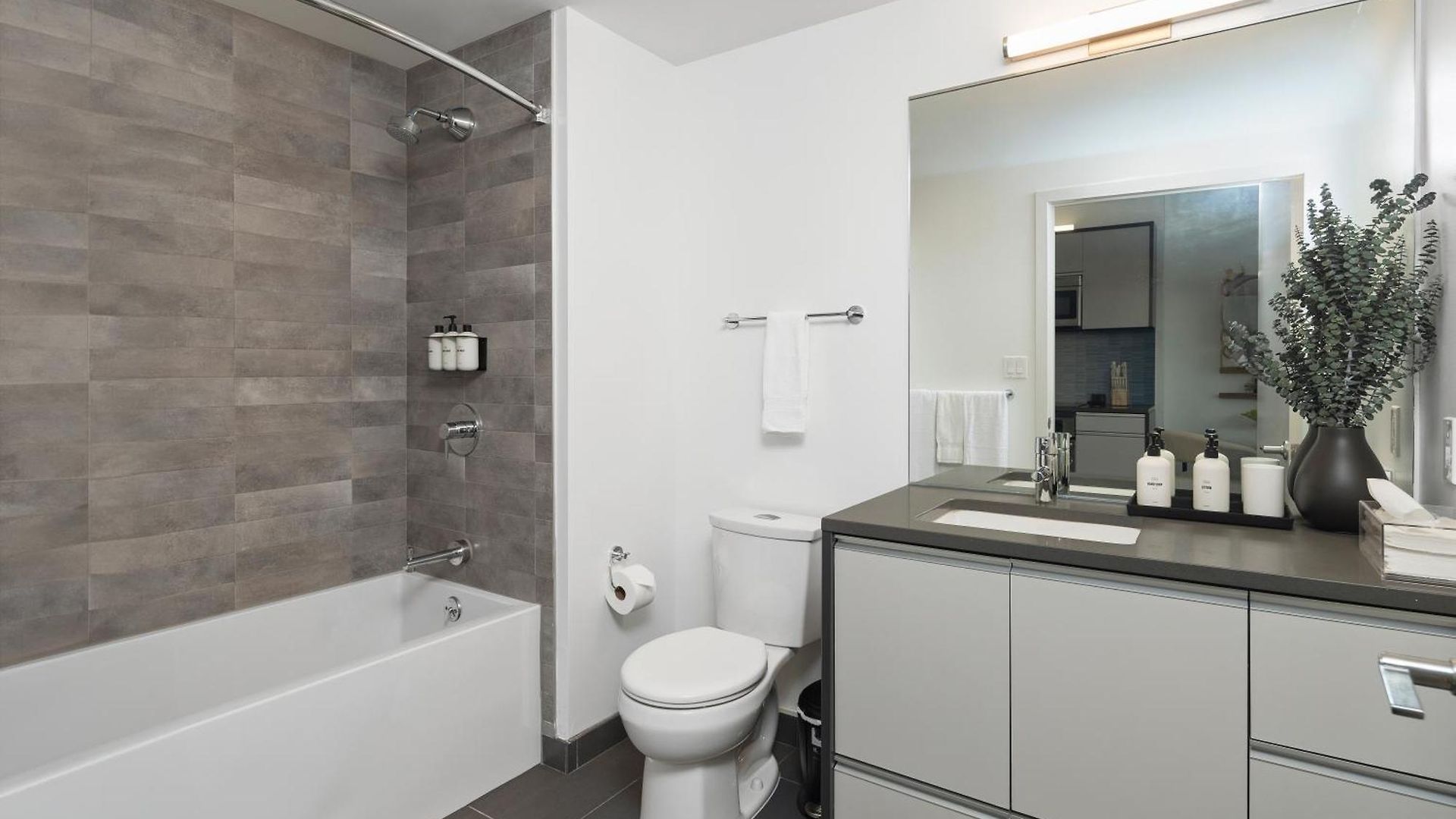 Luxury By Hyatus Downtown