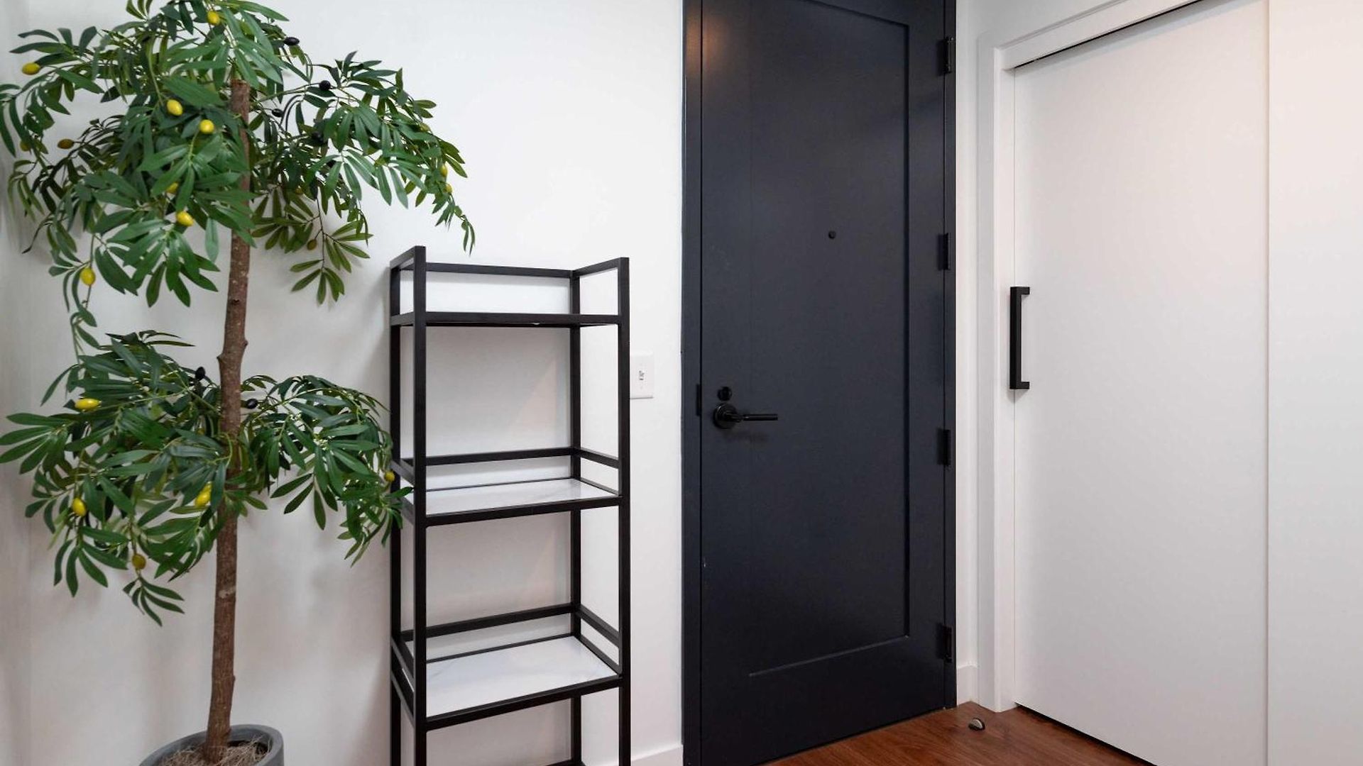 Back-bay Upscale Rooftop & Parking Apartment