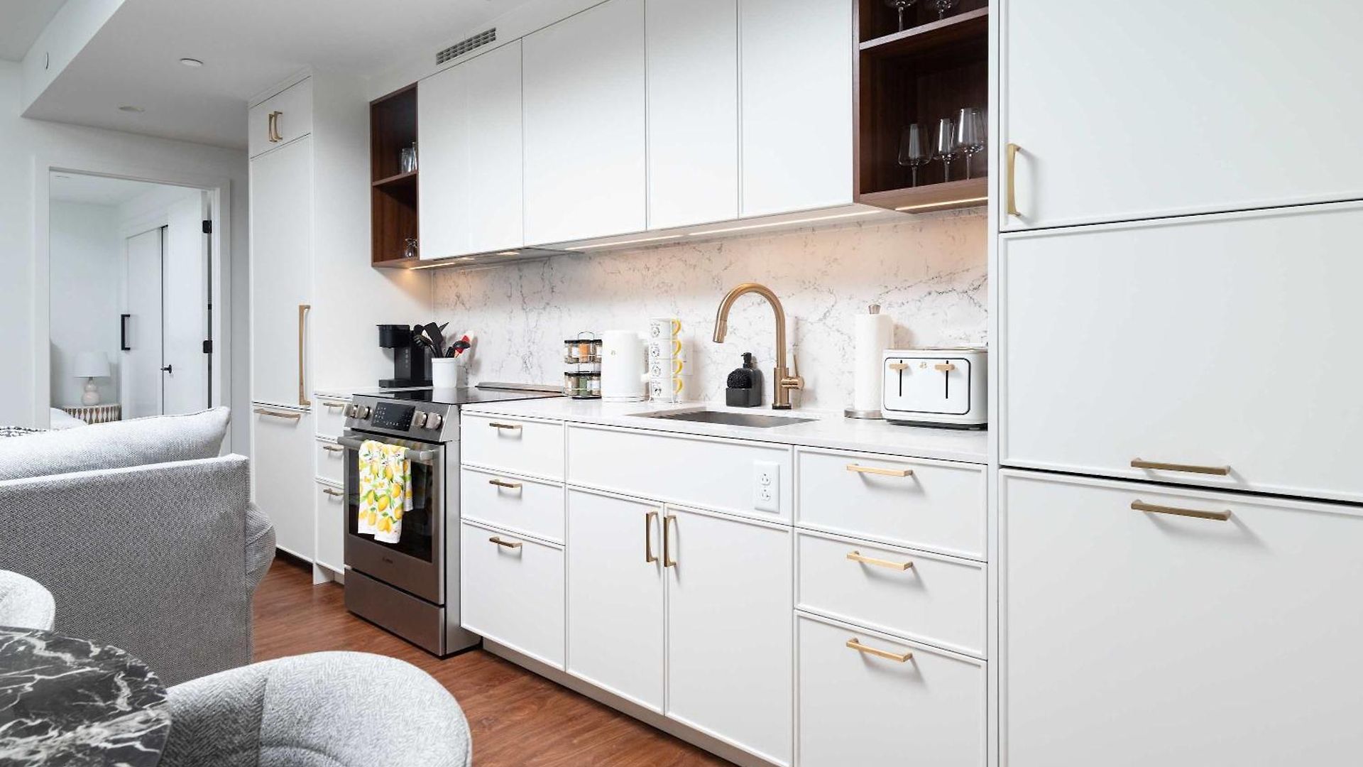 Back-bay Upscale Rooftop & Parking Apartment *