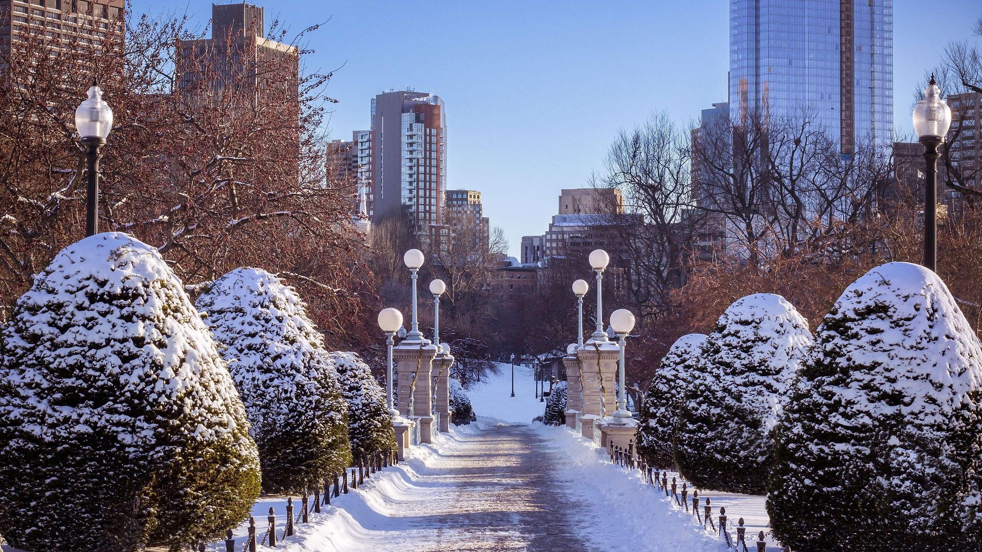 Hotel Fairmont Copley Plaza 5*
