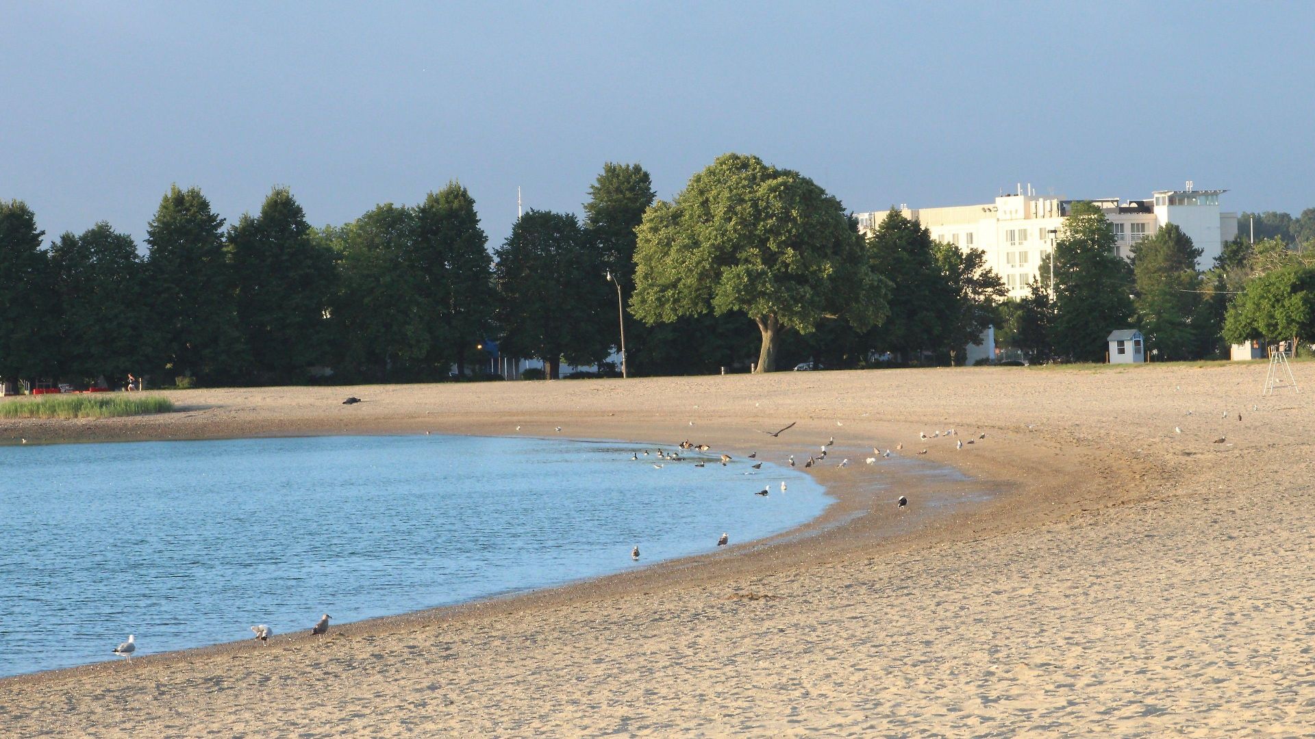 Doubletree By Hilton Bayside Boston