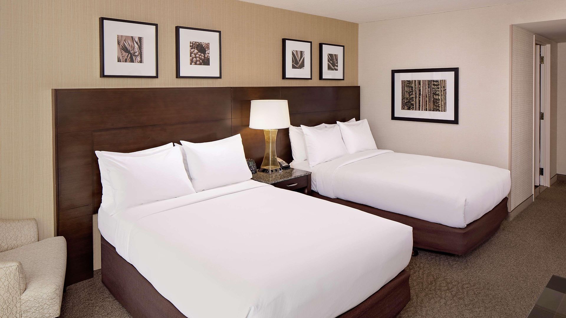 Hotel Doubletree By Hilton Bayside Boston