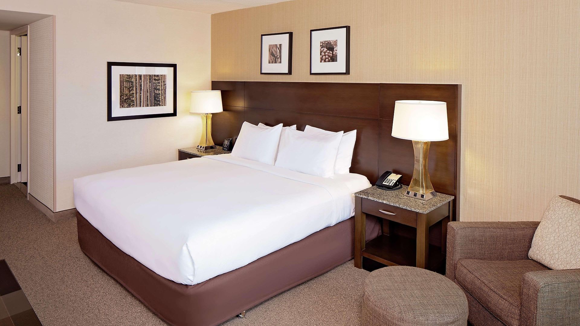 Hotel Doubletree By Hilton Bayside Boston