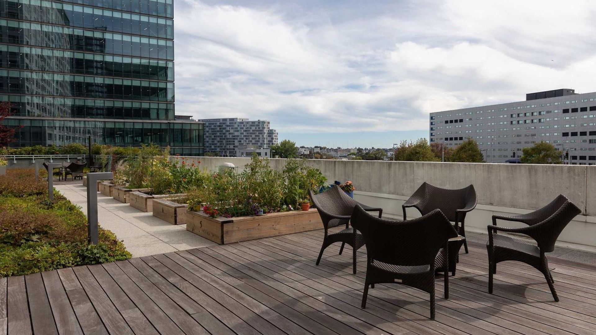 Modern Harbor Front Apartment