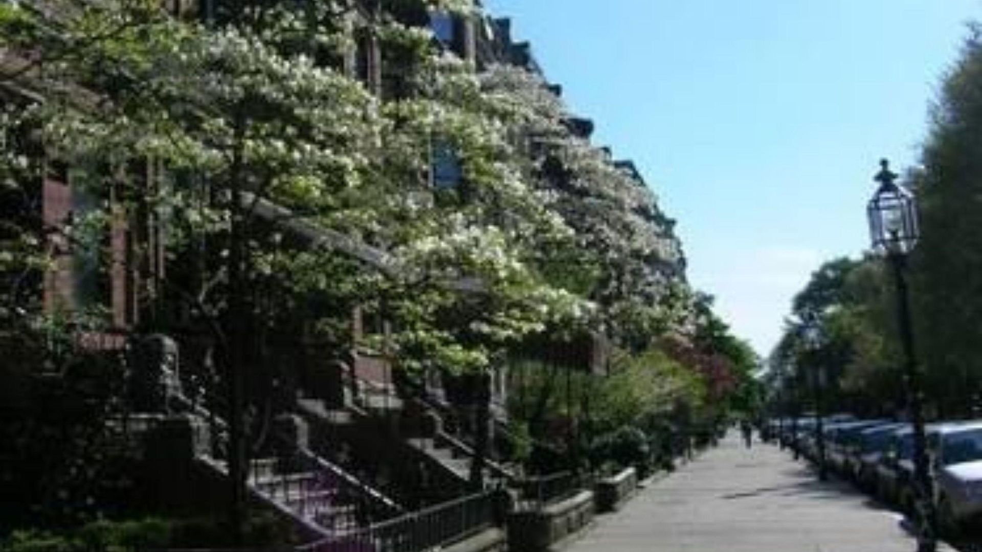 The College Club Of Boston