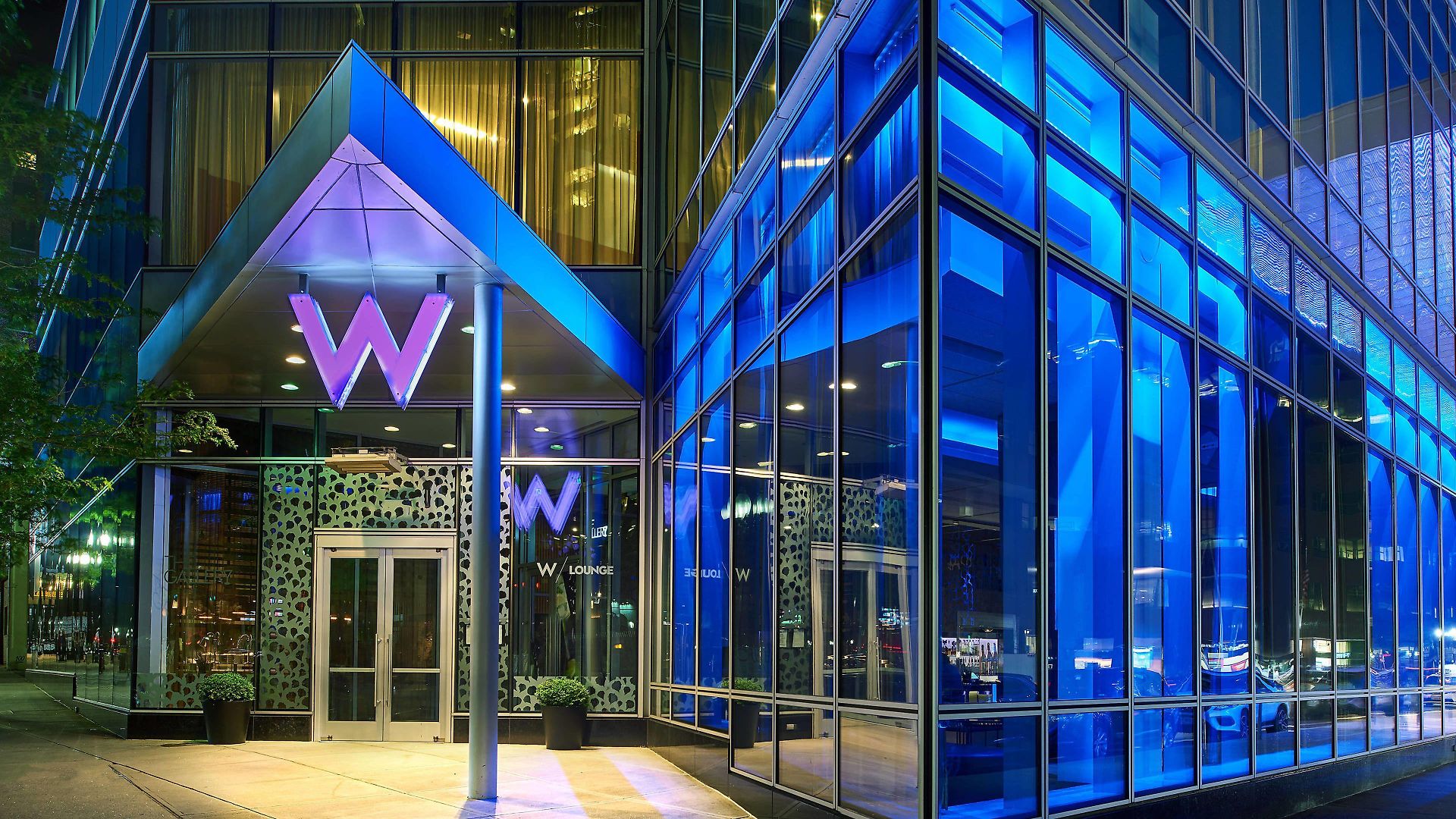 W
