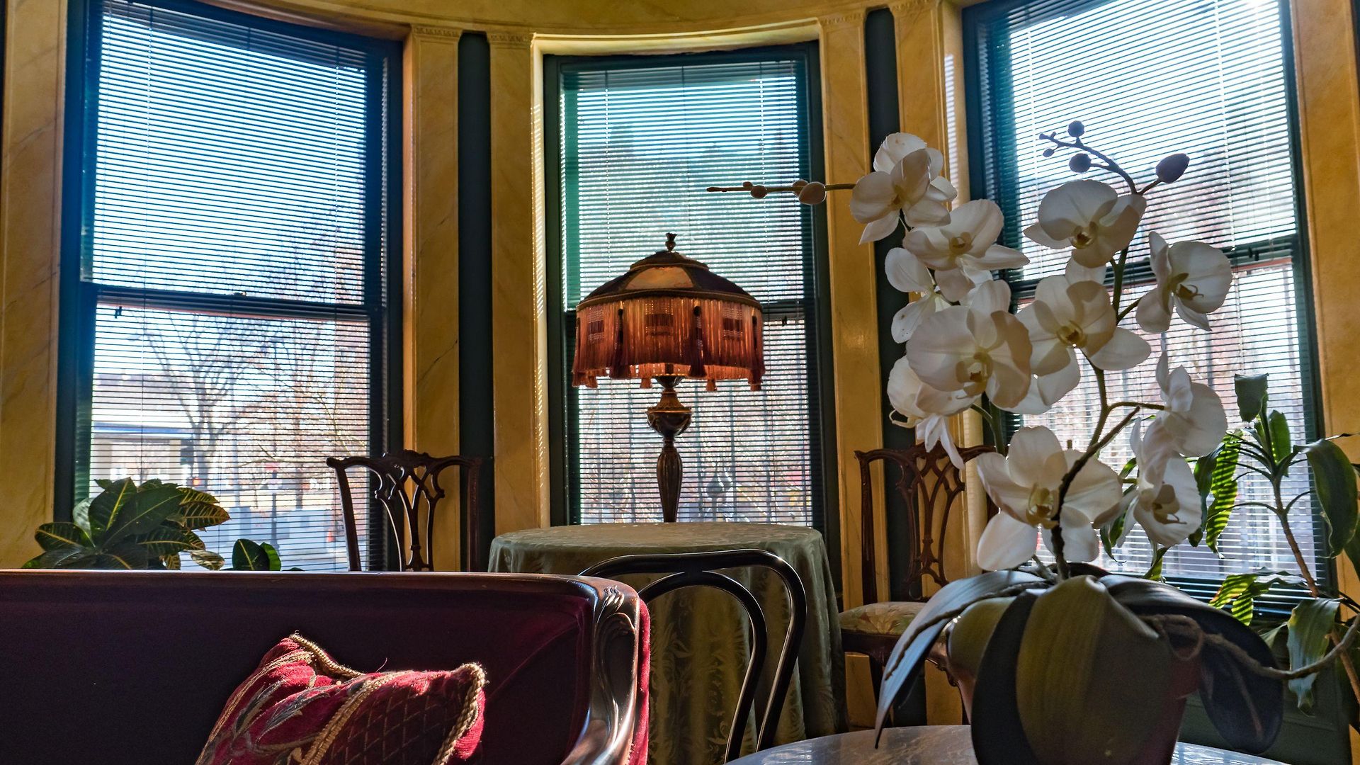 Bed & Breakfast The Gryphon House 3*