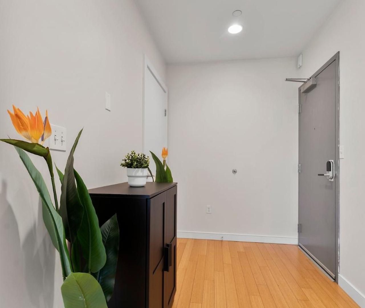 Beautiful 2br In Southend Apartment *