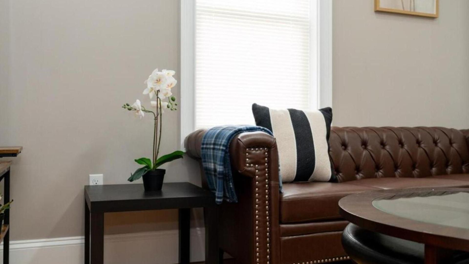 Apartment 3br Hideaway - Pet-friendly - Steps To Franklin Park & Red Line 558-3 *