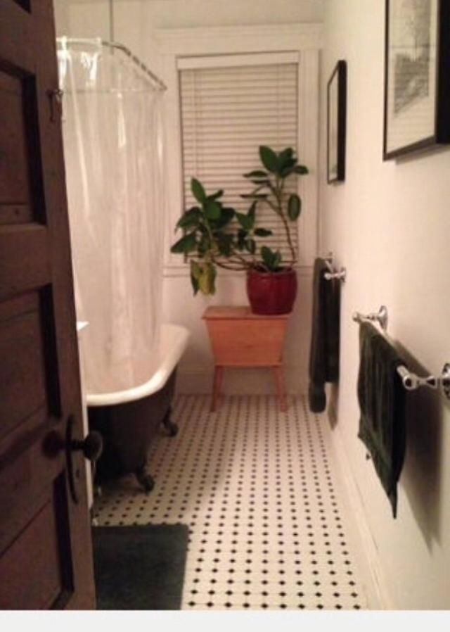 Apartment Private Must Dogs *