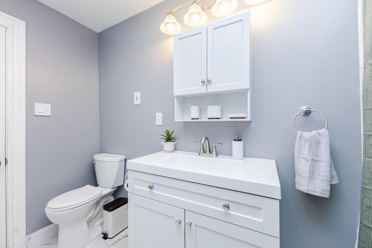 Cozy 3bd, 1ba In - Franklin Park Zoo, Common Apartment Boston