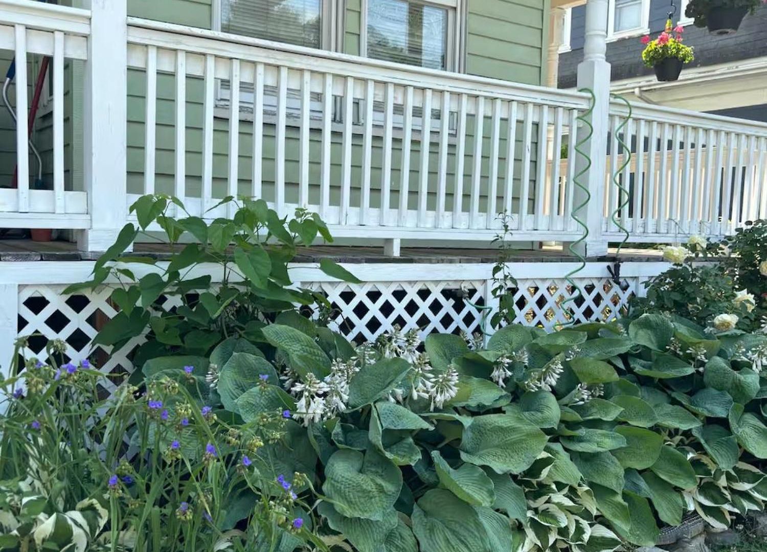 Apartment With Parking, Next To Train Or Buses, Good Neighborhood Boston