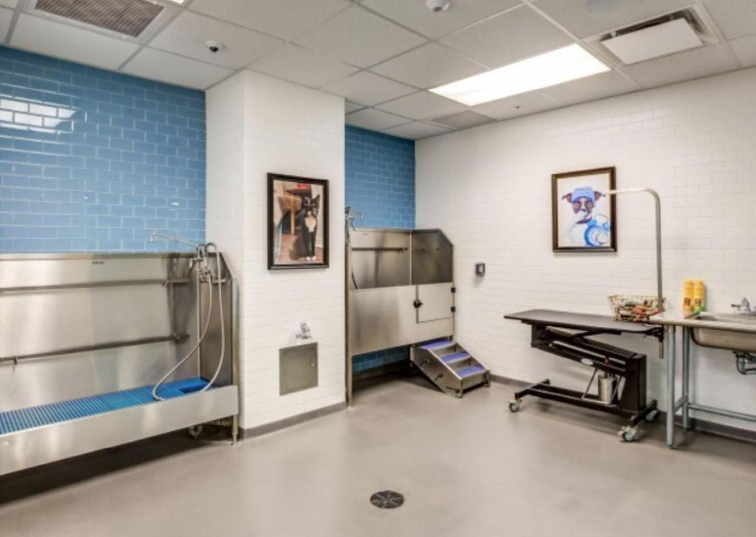 Apartment Blueground East Cambridge Fitness Nr Charles River Bos-1204 *