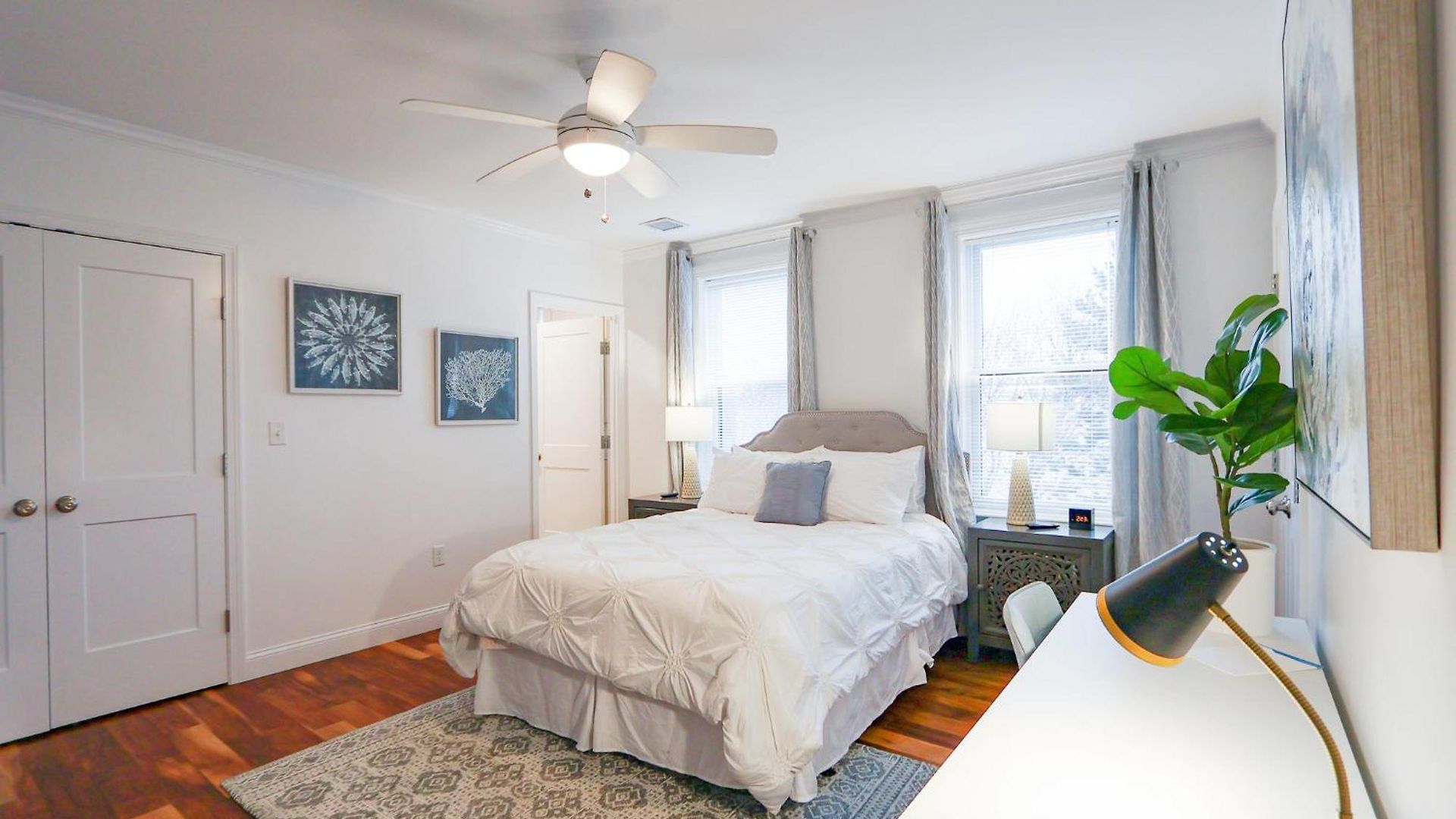 Apartment 2br2ba South End Gem Steps To Northeastern *