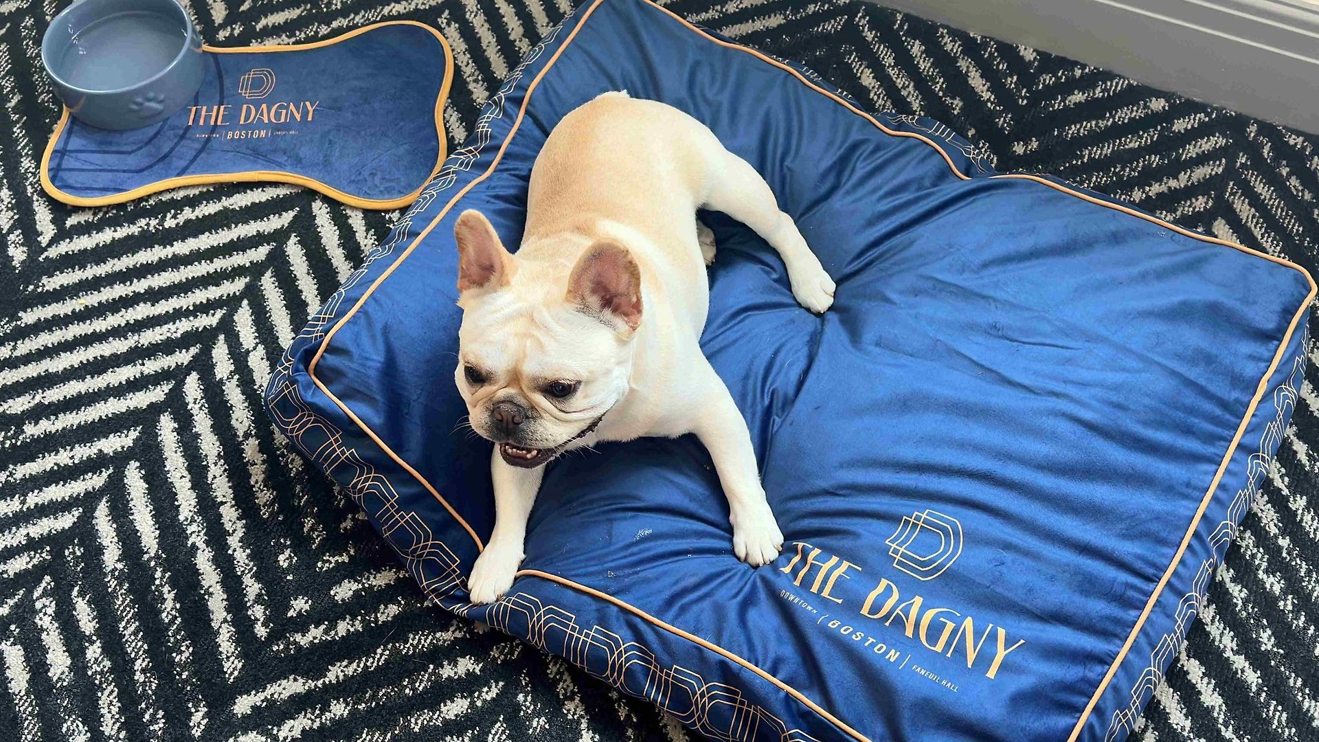 The Dagny
