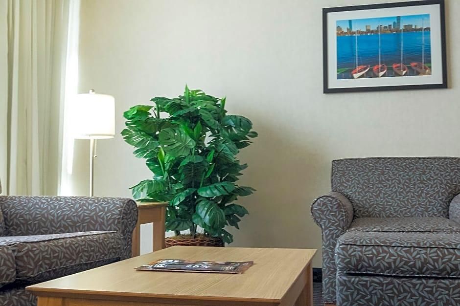 The Midtown Mod Collection By Sonesta Motel Boston
