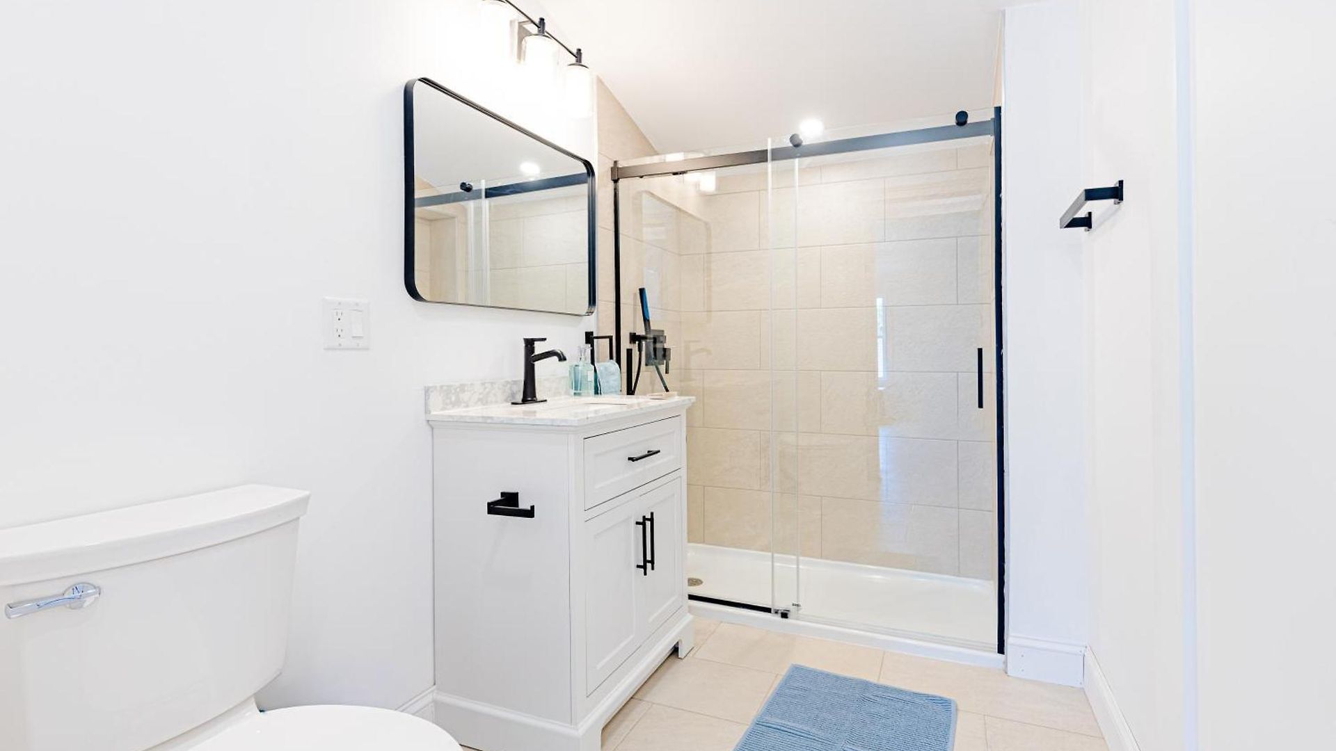 154r Newley Renovated Sunny Spacious Quite In Brighton Boston