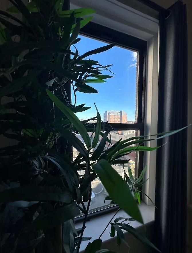 -no3a- Private In A Cozy - Steps To T Orange Line & Medical Center - South End Near Downtown Homestay