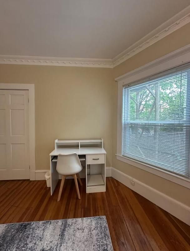 -no65- Fancy In A House - Steps To College & Line At Brighton Homestay Boston